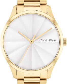 CALVIN KLEIN Mod. 25200232