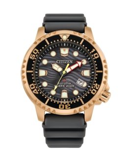 CITIZEN MOD. BN0163-00H