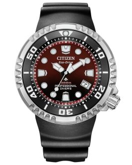 CITIZEN WATCHES Mod. BN1024-01Z