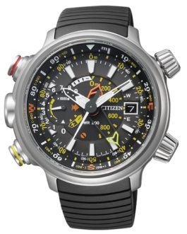 CITIZEN WATCHES Mod. BN4021-02E