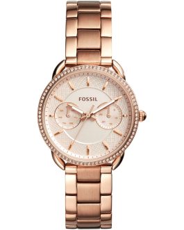 FOSSIL Mod. TAILOR