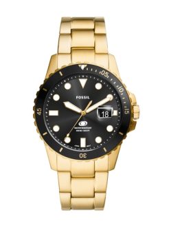 FOSSIL WATCHES Mod. FS6035