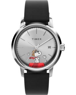 TIMEX WATCHES Mod. TW2W49600