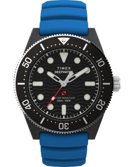 TIMEX WATCHES Mod. TW2Y02500