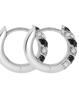 STROILI Mod. 1691550