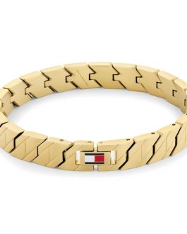 TOMMY HILFIGER Mod. 1697258