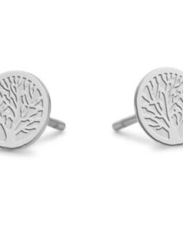 CO88 COLLECTION Mod. 8CE-70138
