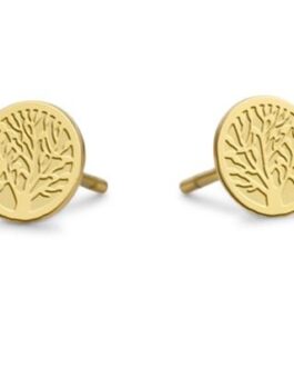 CO88 COLLECTION Mod. 8CE-70144