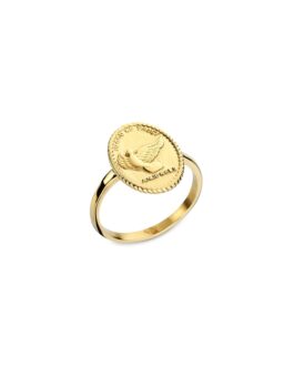 AN JEWELS JEWELRY Mod. AAC.R01Y-6