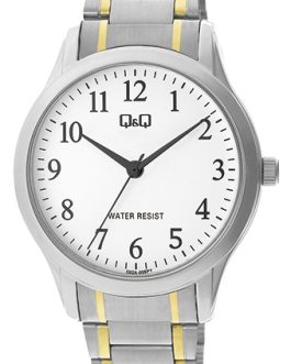 Q&Q Mod. GENT ONLY TIME
