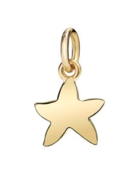 CHARMS DODO MOD. DM95027STARS000OG