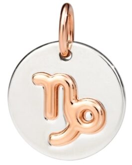 CHARMS DODO MOD. DMC2013ZODCP0009A