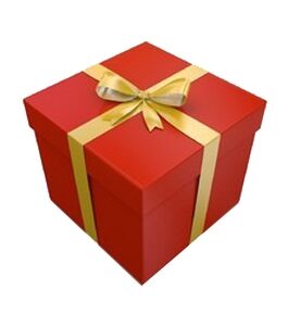 GIFT WRAPPING / CONFEZIONE REGALO / PAQUET CADEAUX / PAQUETE REGALO