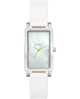 SKAGEN DENMARK WATCHES Mod. SKW3141