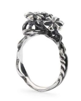 TROLLBEADS Mod. TAGRI-00304