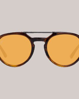 WEB SUNGLASSES ***SPECIAL PRICE***